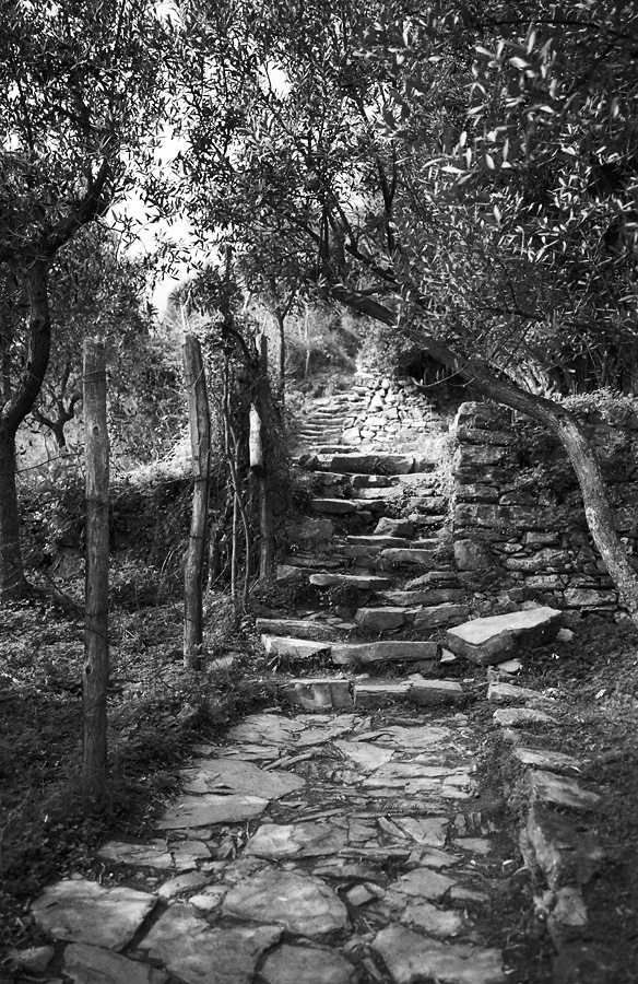 The Path of the Cinque Terre