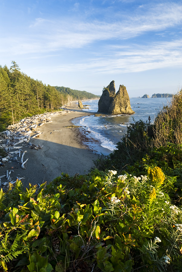 Rialto Beach