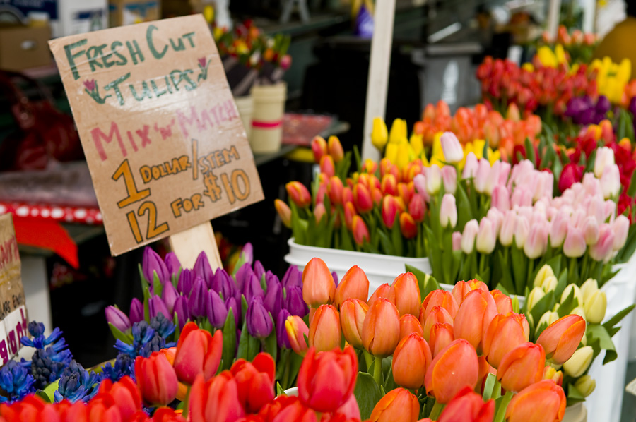 Tulips at the Market